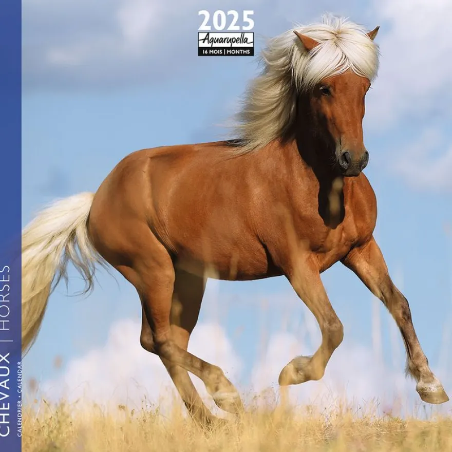 Calendrier mensuel 16x16 cm - 16 mois - Chevaux