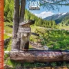 Calendrier mensuel 30x30 cm - 16 mois - Sur les sentiers