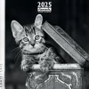 Calendrier mensuel 30x30 cm - 16 mois - Chats N&B