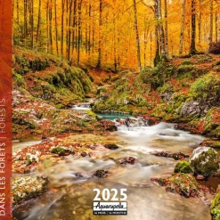 Calendrier mensuel 30x30 cm - 16 mois - Dans les forêts