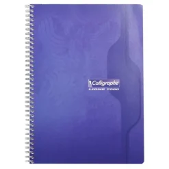 Calligraphe 7000 - Cahier reliure intégrale 21 x 29.7 cm - petits carreaux (5x5 mm) - disponible dans différentes couleurs