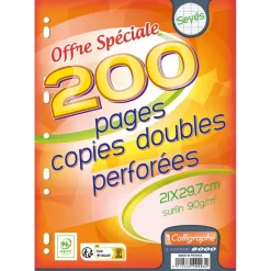 Calligraphe - copies doubles sous film - 200 pages - A4 - grands carreaux (Seyes) - perforées