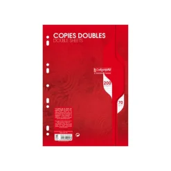 Calligraphe - copies doubles - 200 pages - A4 - petits carreaux (5x5 mm) - perforées