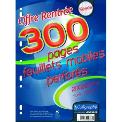Calligraphe - feuilles simples A4 - 300 pages - grands carreaux (Seyes) - perforées