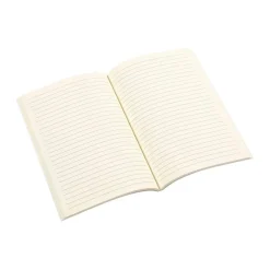Carnet de notes Coca-cola sunshine - 128 pages - A5 - Viquel