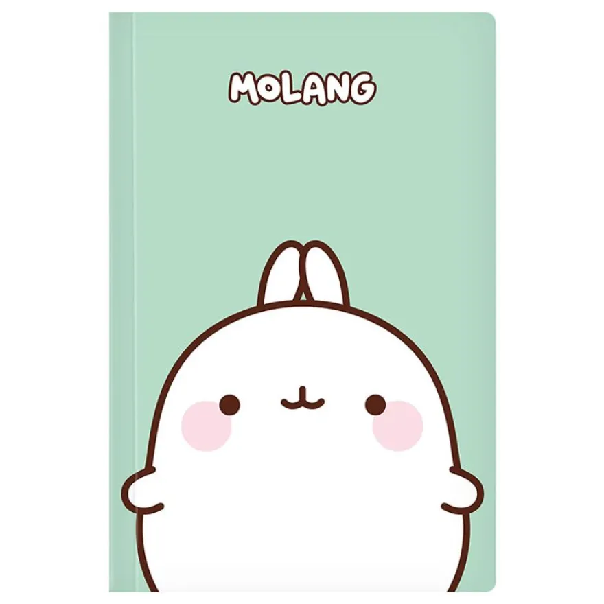 Carnet de notes Molang - 128 pages - A5 - Viquel