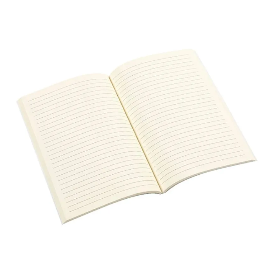 Carnet de notes Molang - 128 pages - A5 - Viquel