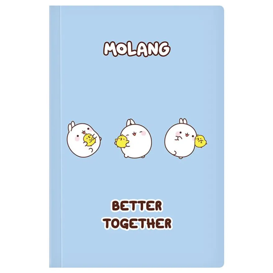 Carnet de notes Molang - 128 pages - A5 - Viquel