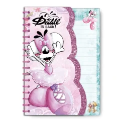 Carnet forme A6 Diddl