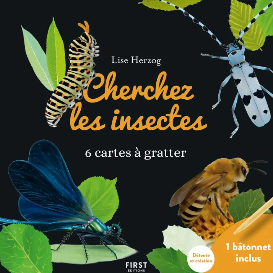 CARTES A GRATTER - CHERCHEZ LES INSECTES