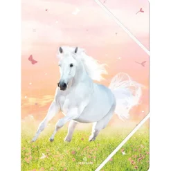 Chemise A4 Cheval - 24 x 32 cm - Oberthur