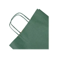 Clairefontaine - 25 Sacs cadeau kraft - 22 cm x 10 cm x 27 cm - vert