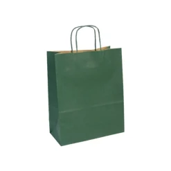 Clairefontaine - 25 Sacs cadeau kraft - 22 cm x 10 cm x 27 cm - vert