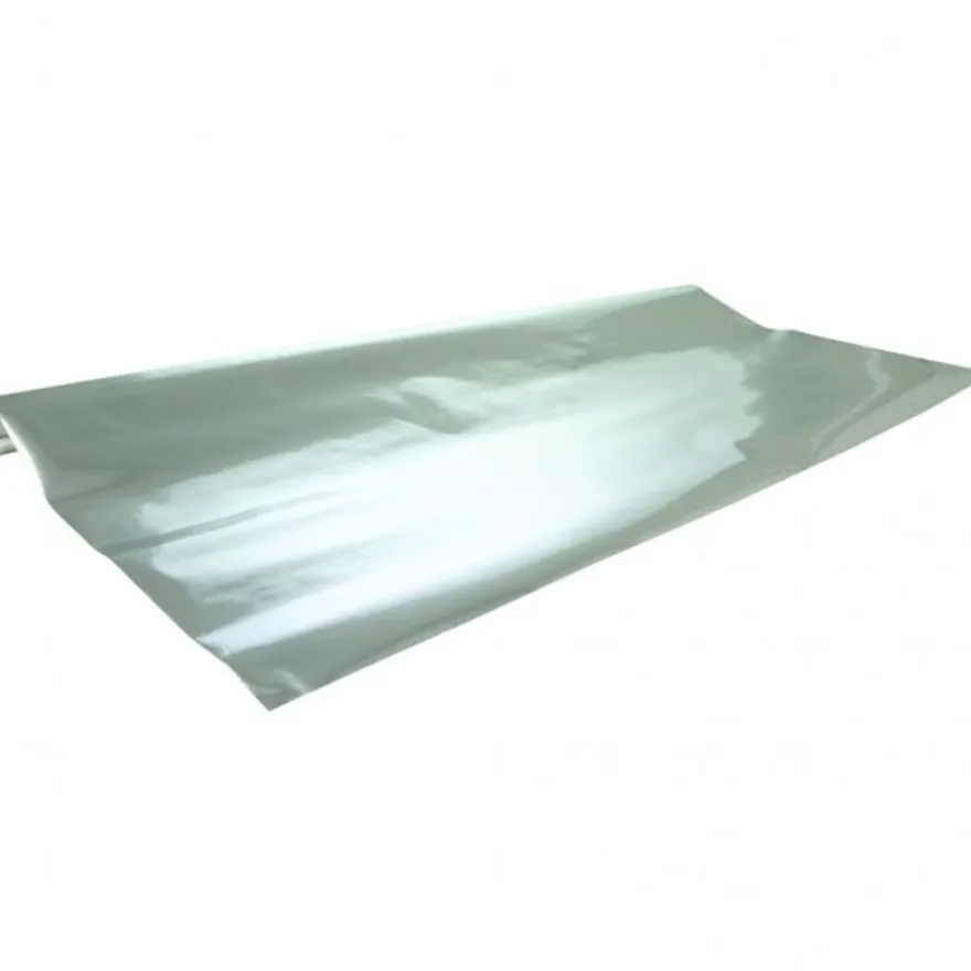 Clairefontaine - Papier cadeau métallisé - 70 cm x 2 m - 80 g/m² - argent