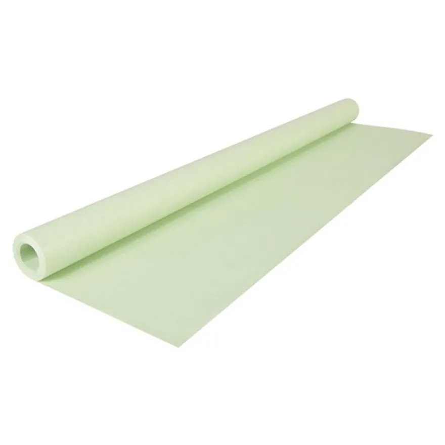 Clairefontaine - Papier cadeau kraft - 70 cm x 10 m - 65 g/m² - vert pastel