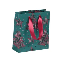 Clairefontaine - Sac cadeau premium - 12 cm x 4,5 cm x 13,5 cm - vert