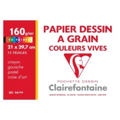 Clairefontaine Etival - Pochette papier à dessin - 12 feuilles - A4 - 160 gr - couleurs vives