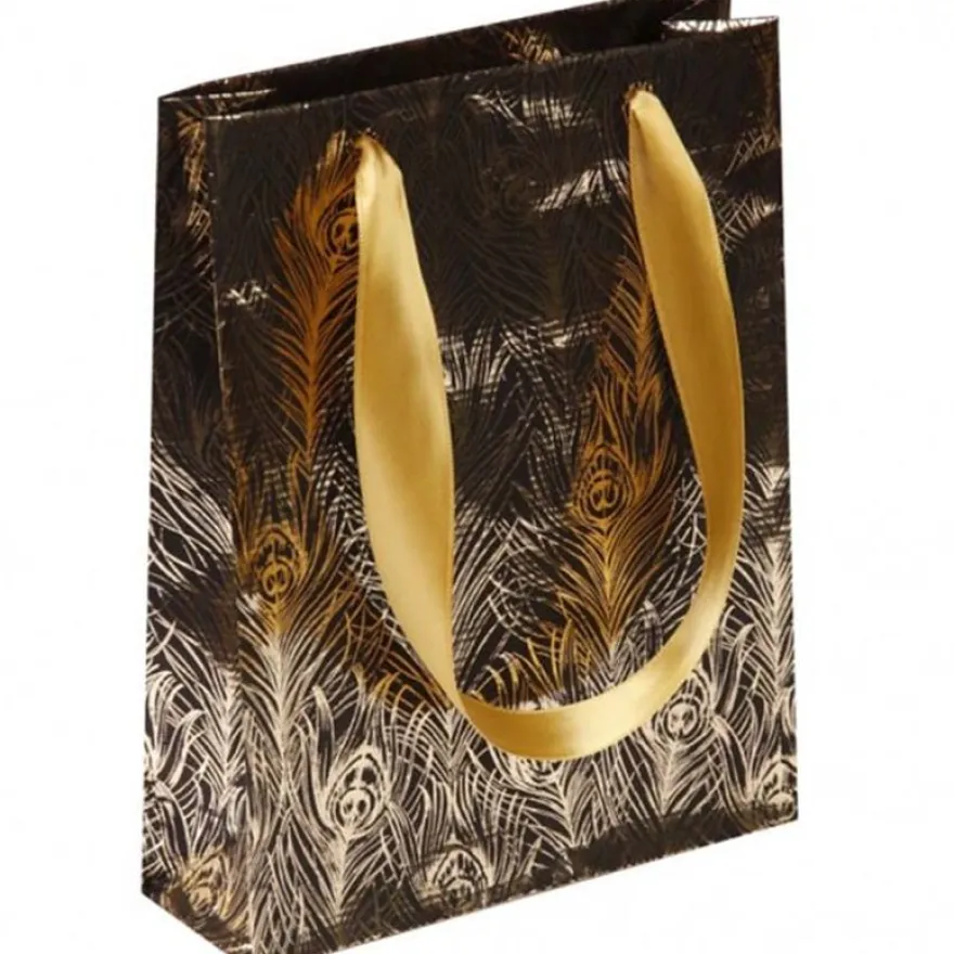 Clairefontaine Eurowrap - Sac cadeau - 17 cm x 6 cm x 22 cm - travel