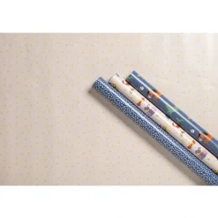 Clairefontaine Excellia Everyday - Papier cadeau - 70 cm x 2 m - héros de mon enfance - différents modèles disponibles