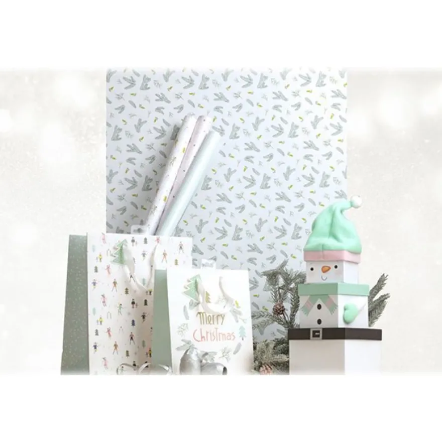 Clairefontaine Excellia Neige - Papier cadeau - 70 cm x 2 m - disponible dans différents modèles - 80 g/m²
