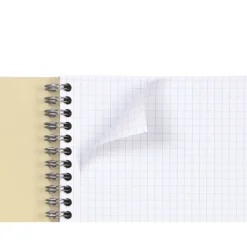 Clairefontaine Forever - Cahier à spirale A4 (21x29,7 cm) - 120 pages - petits carreaux (5x5 mm)