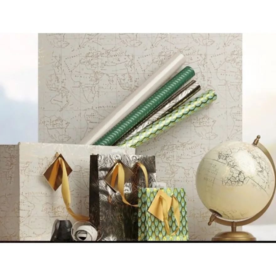 Clairefontaine Premium - Papier cadeau - 70 cm x 2 m - 80 g/m² - collection travel