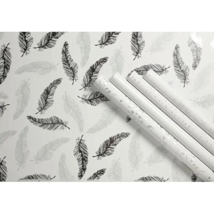 Clairefontaine Premium - Papier cadeau - 70 cm x 2 m - 80 g/m² - blanc