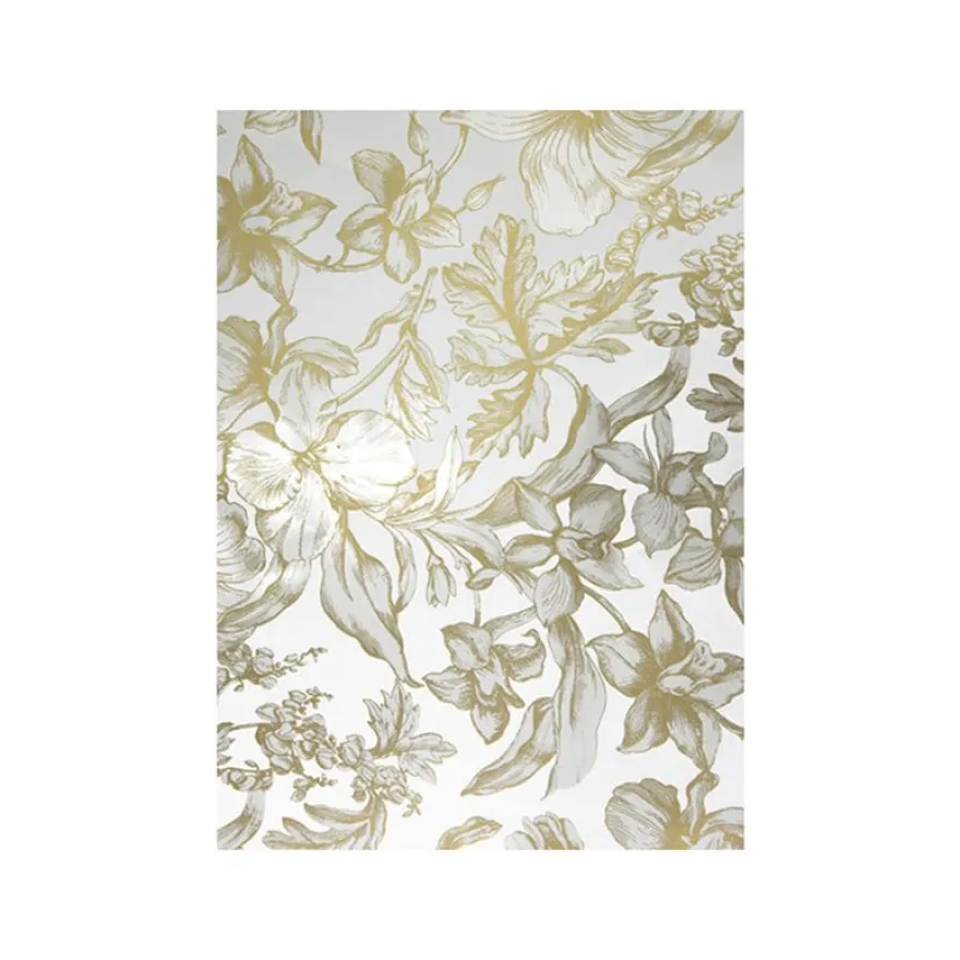 Clairefontaine Premium - Papier cadeau - 70 cm x 2 m - 80 g/m² - disponible dans différents motifs