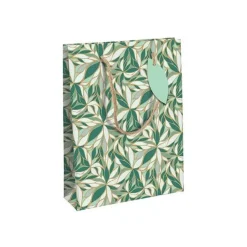 Clairefontaine Rhodia - Sac cadeau grand 26,5 x 14 x 33 cm - vert