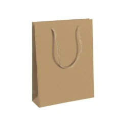 Clairefontaine The Basics - Sac cadeau kraft - 26,5 cm x 14 cm x 33 cm - brun