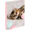 Classeur A4 dos 40 chaton tendre - 25 x 32 cm - Oberthur