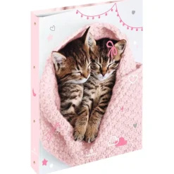 Classeur A4 dos 40 chaton tendre duo - 25 x 32 cm - Oberthur