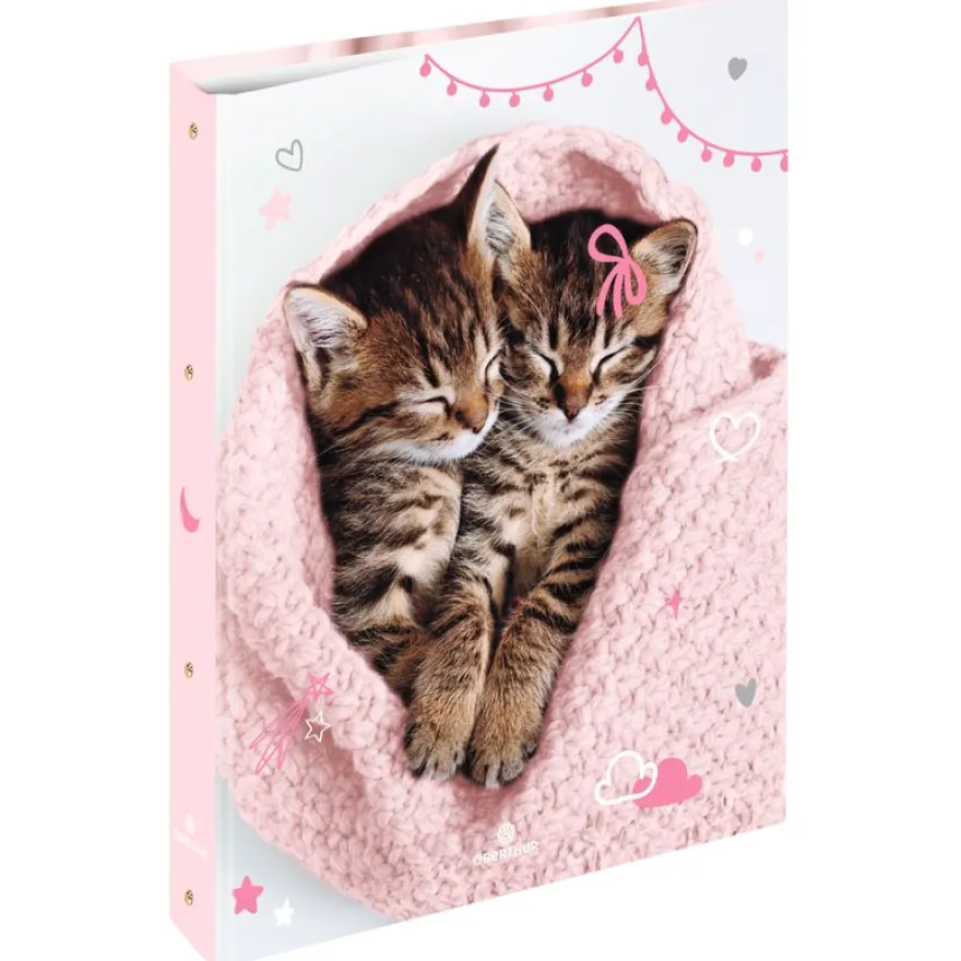 Classeur A4 dos 40 chaton tendre duo - 25 x 32 cm - Oberthur