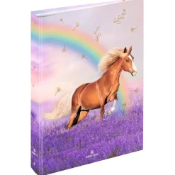 Classeur A4 dos 40 cheval - 25 x 32 cm - Oberthur
