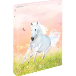 Classeur A4 dos 40 cheval - 25 x 32 cm - Oberthur