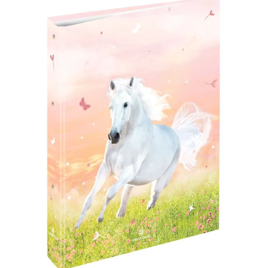 Classeur A4 dos 40 cheval - 25 x 32 cm - Oberthur