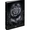 Classeur A4 dos 40 Lion - 25 x 32 cm - Oberthur