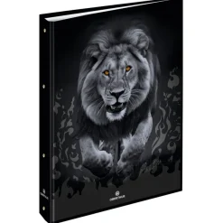 Classeur A4 dos 40 Lion - 25 x 32 cm - Oberthur
