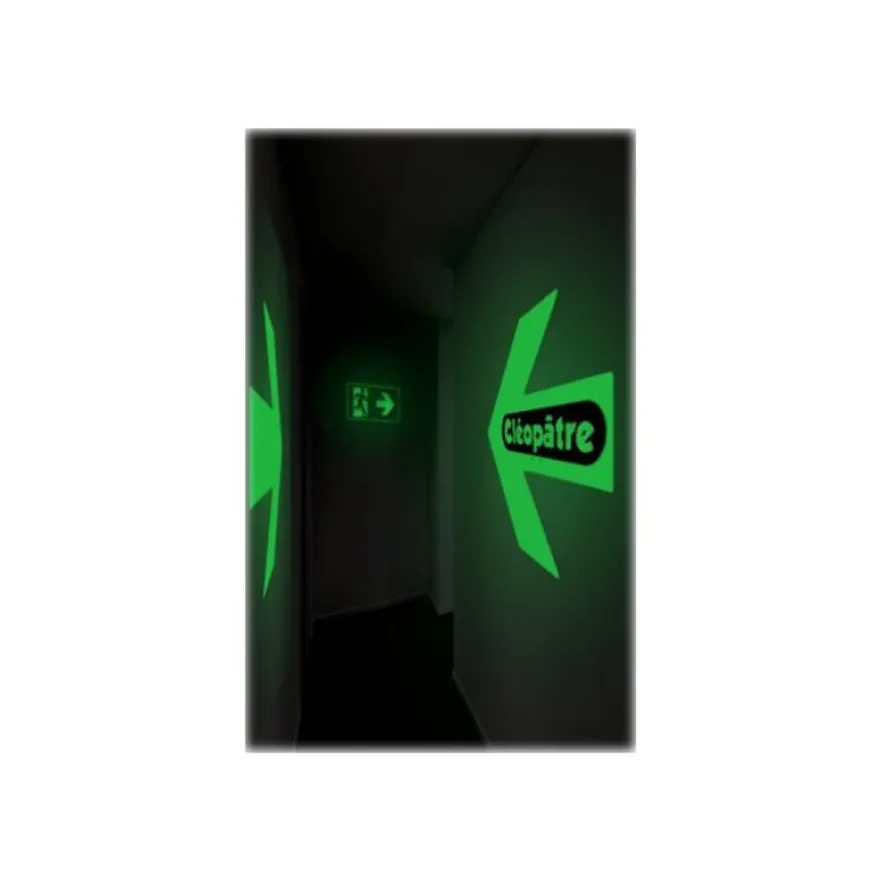 Cléopâtre Princess Mérit - peinture - peinture acrylique - phosphorescent - 250 ml
