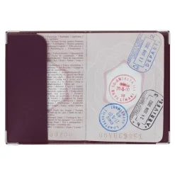 Color Pop - Etui passeport blindé silver