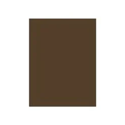 Daler-Rowney Graduate - Peinture acrylique - 120 ml - terre d'ombre naturelle