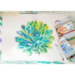 Darwi For You - Boite de 24 crayons de couleur Beaux-Arts