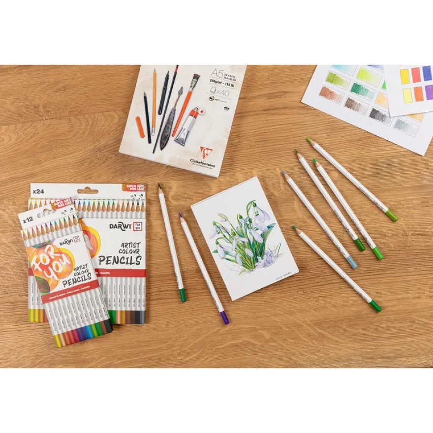 Darwi For You - Boite de 24 crayons de couleur Beaux-Arts
