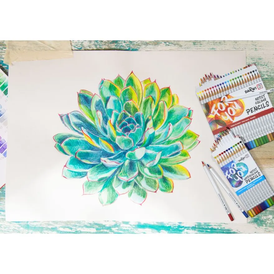 Darwi For You - Boite de 12 crayons de couleur Beaux-Arts