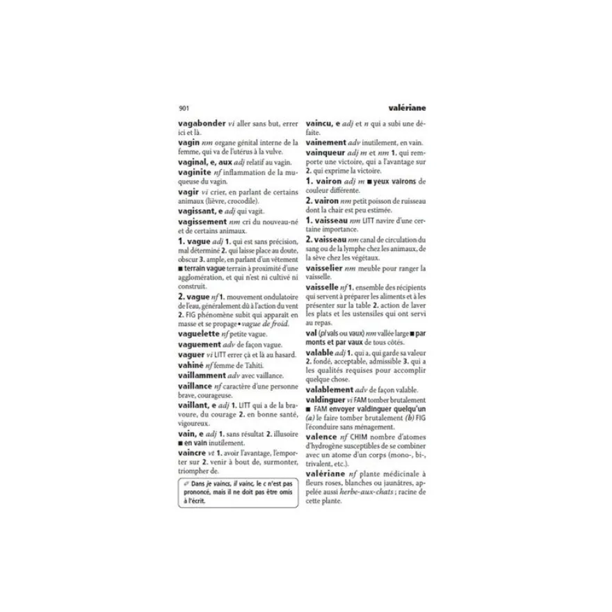 Dictionnaire Mini Plus Larousse