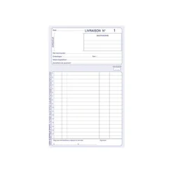 ELVE - Manifold bon de livraison - 297 x 210 mm - 50 feuilles - A4 - autocopiant - numéroté