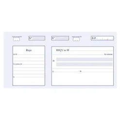 ELVE - Manifold Carnet de reçus - 50 dupli - 10,5 x 21 cm