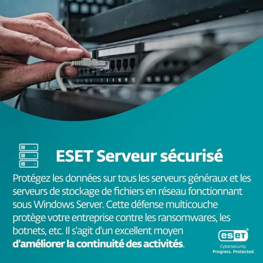 ESET Small Business Security Pack - Licence d'abonnement - 1 an - 10 appareils
