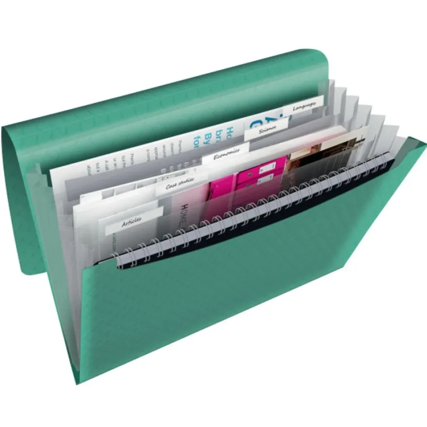 Esselte Colour'Breeze - Classeur ménager (valisette trieur) - 6 compartiments - vert