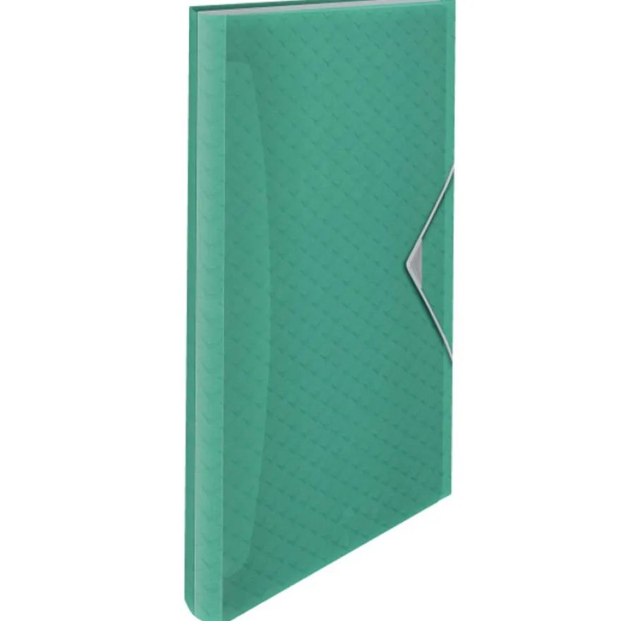 Esselte Colour'Breeze - Classeur ménager (valisette trieur) - 6 compartiments - vert
